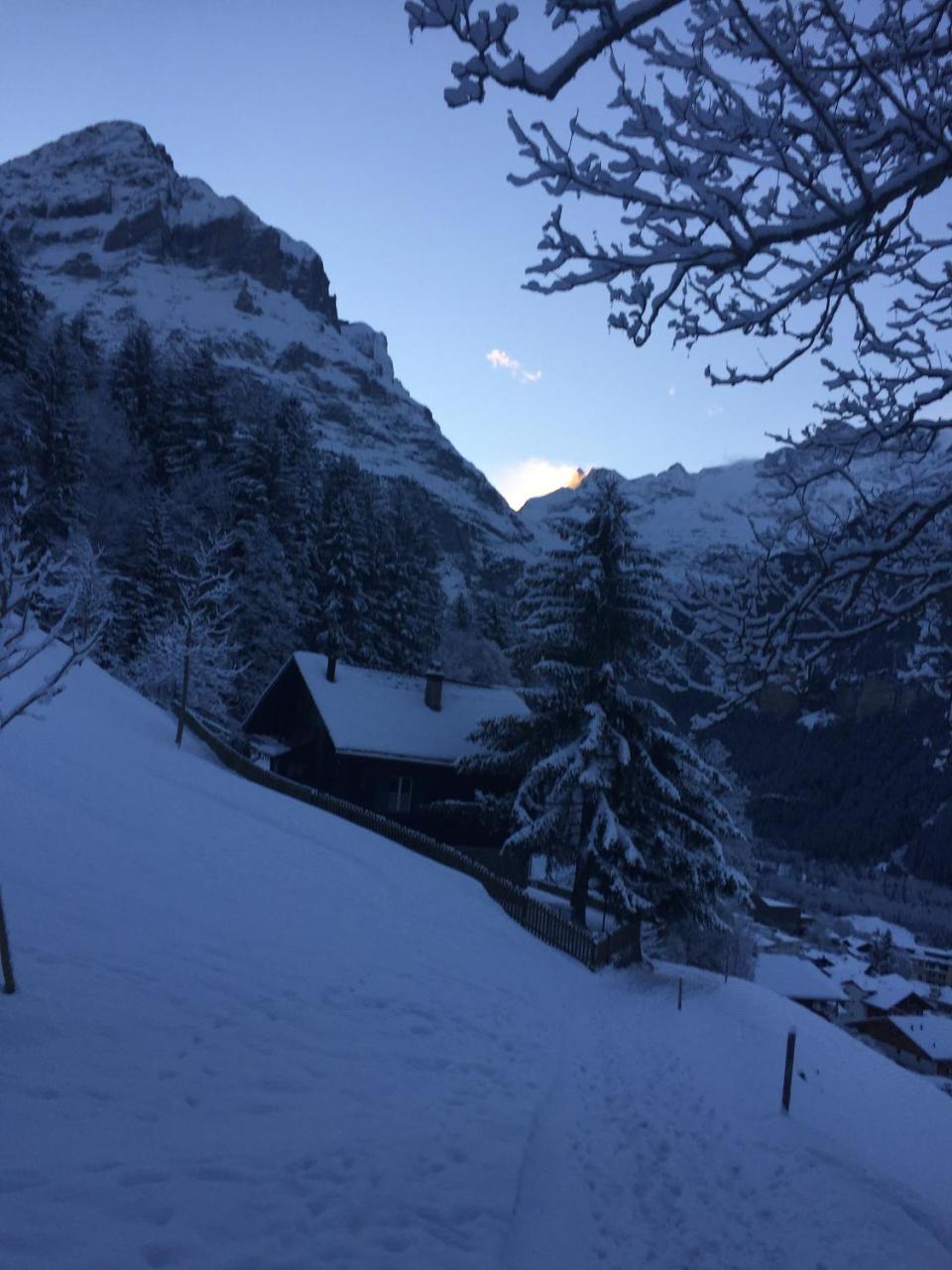 Chalet Grünegg Grindelwald Exterior foto