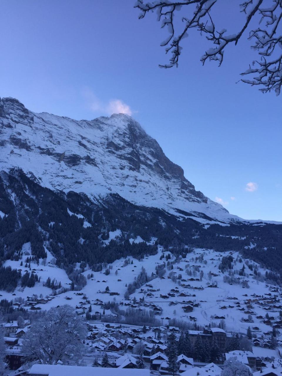 Chalet Grünegg Grindelwald Exterior foto